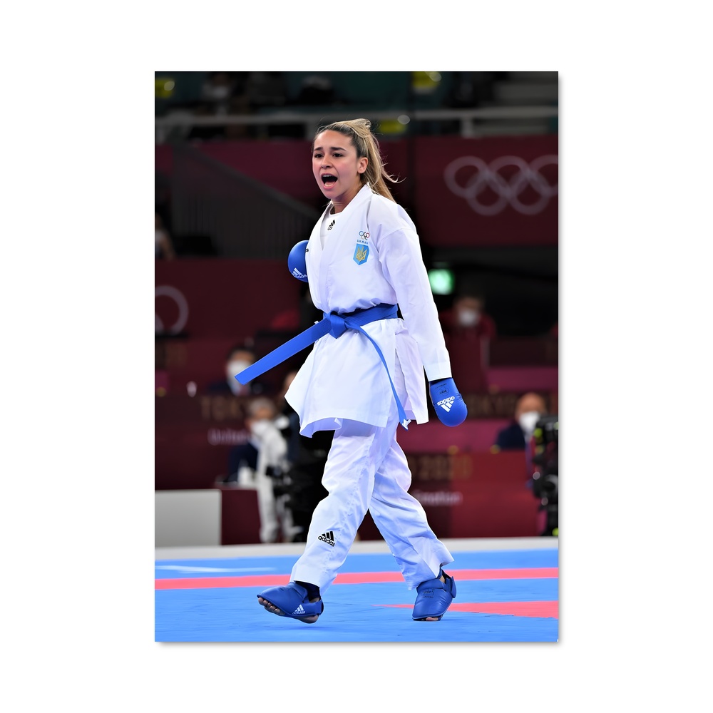 Poster Olympics karate